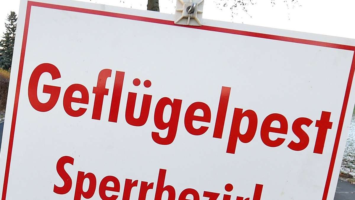 Geflügelpest in Baden-Württemberg: Vogelgrippe im Südwesten nachgewiesen - Risiko der Verbreitung hoch