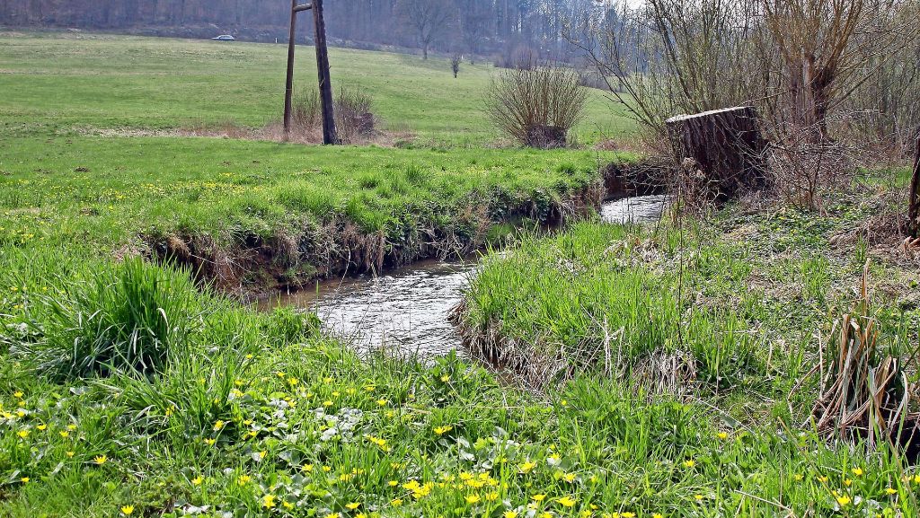 Hochwasserschutz Strudelbachtal: Der Prüfbericht ist noch nicht abgehakt