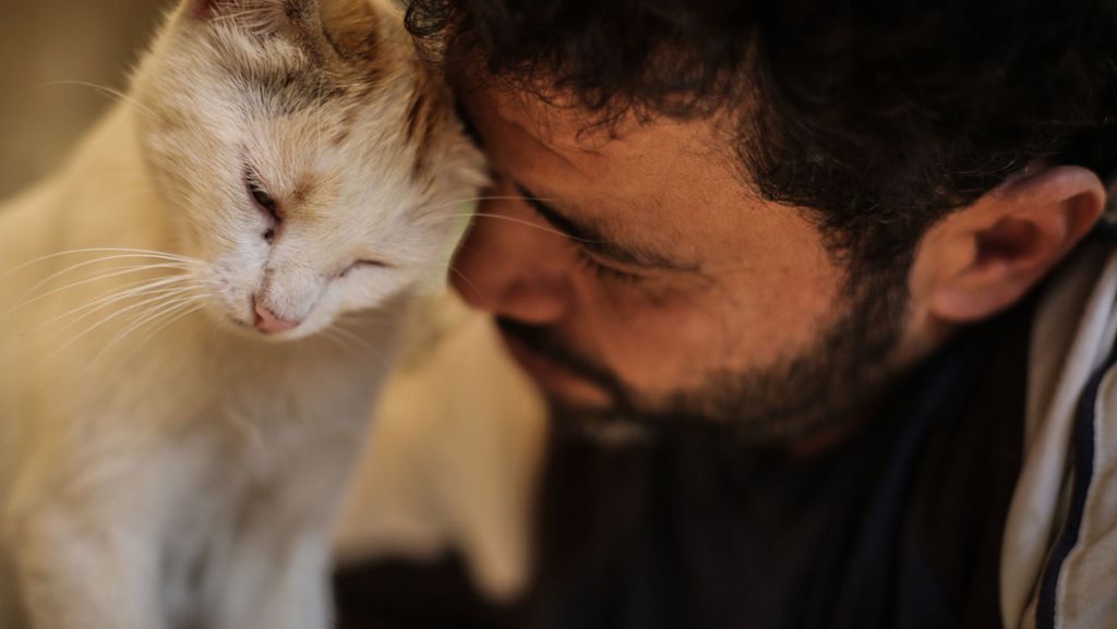 Syrien: Der Katzenmann von Aleppo – wie ein Syrer  Tiere rettet und Kindern hilft