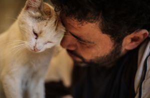 Der Katzenmann von Aleppo – wie ein Syrer  Tiere rettet und Kindern hilft