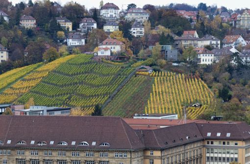 Einst war  in Stuttgart  Wein billiger als Wasser