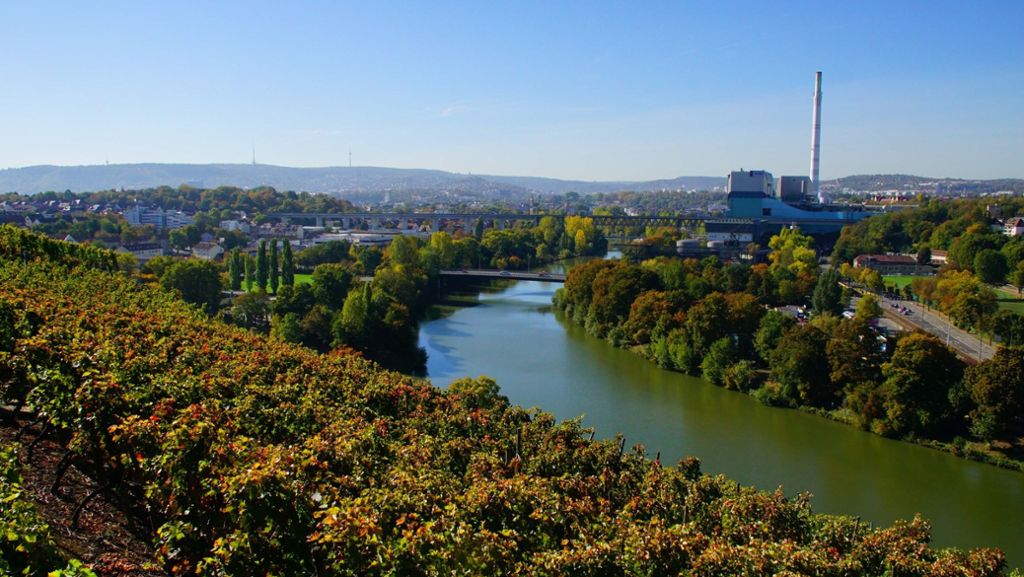 Herbstspaziergänge in Stuttgart: Raus aus dem Haus, rein ins Laub!