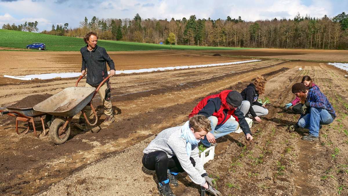 Genossenschaftliche Landwirtschaft: Omas Acker   wird solidarisch bewirtschaftet