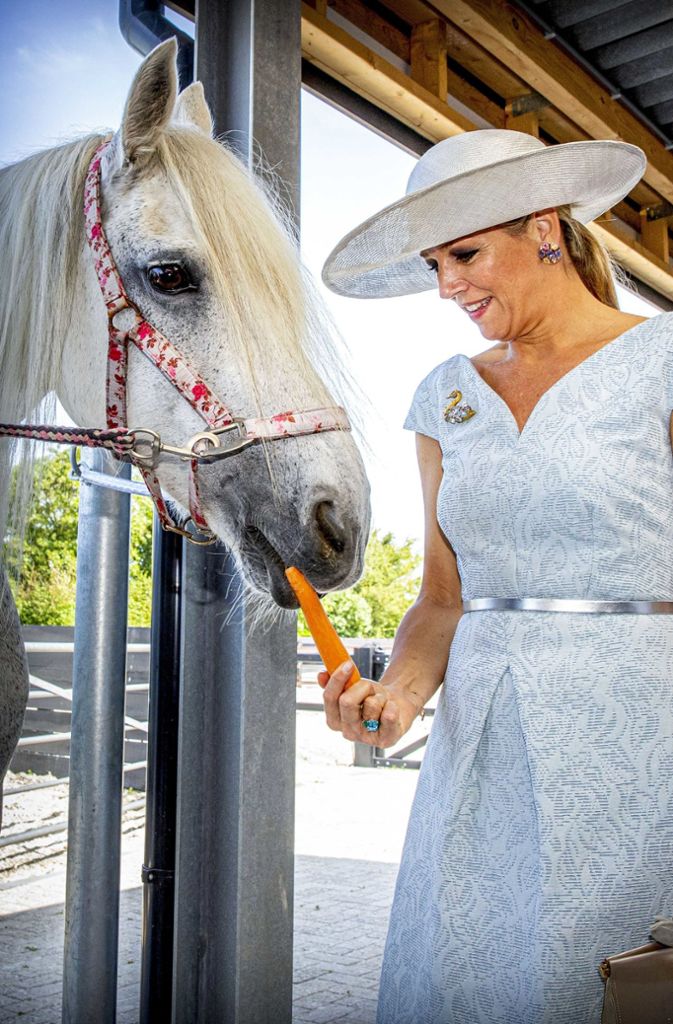 Königin Maxima der Niederlande füttert ein Pferd.