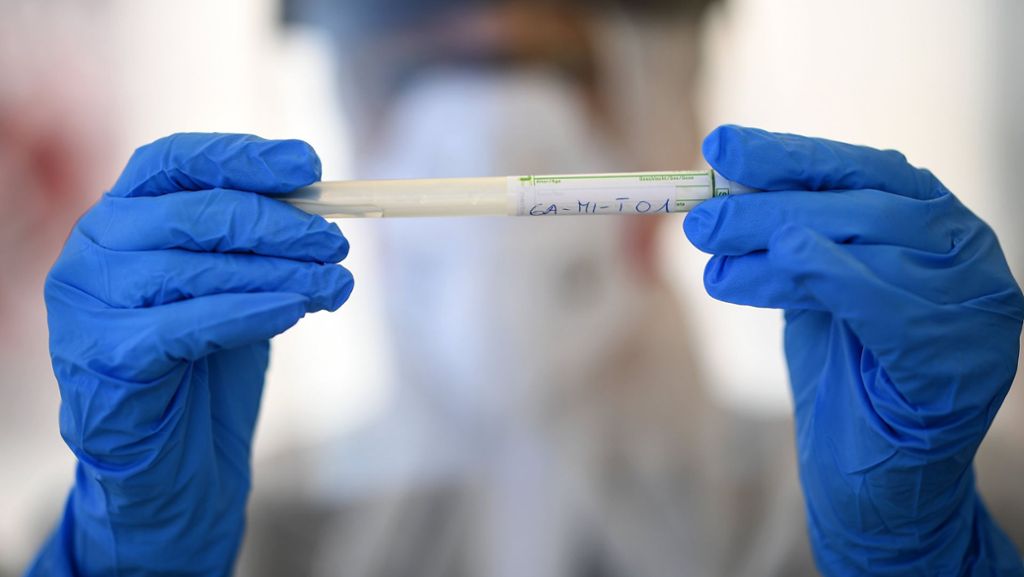 Corona-Pandemie: WHO sieht sieben bis acht aussichtsreiche Impfstoffkandidaten