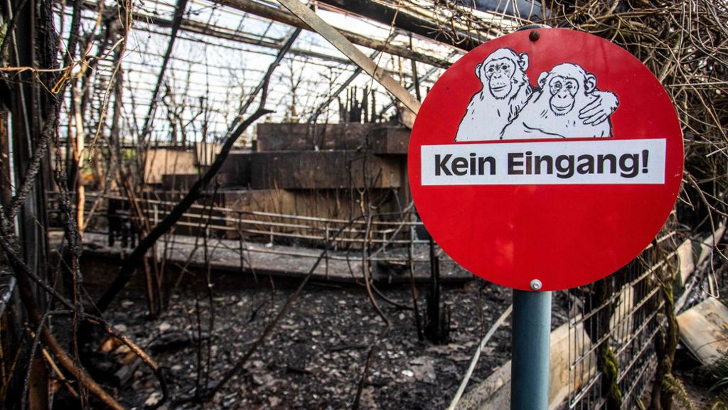 Wilhelma in Stuttgart: Wie die Zoo-Mitarbeiter auf den Affenhaus-Brand in Krefeld reagieren