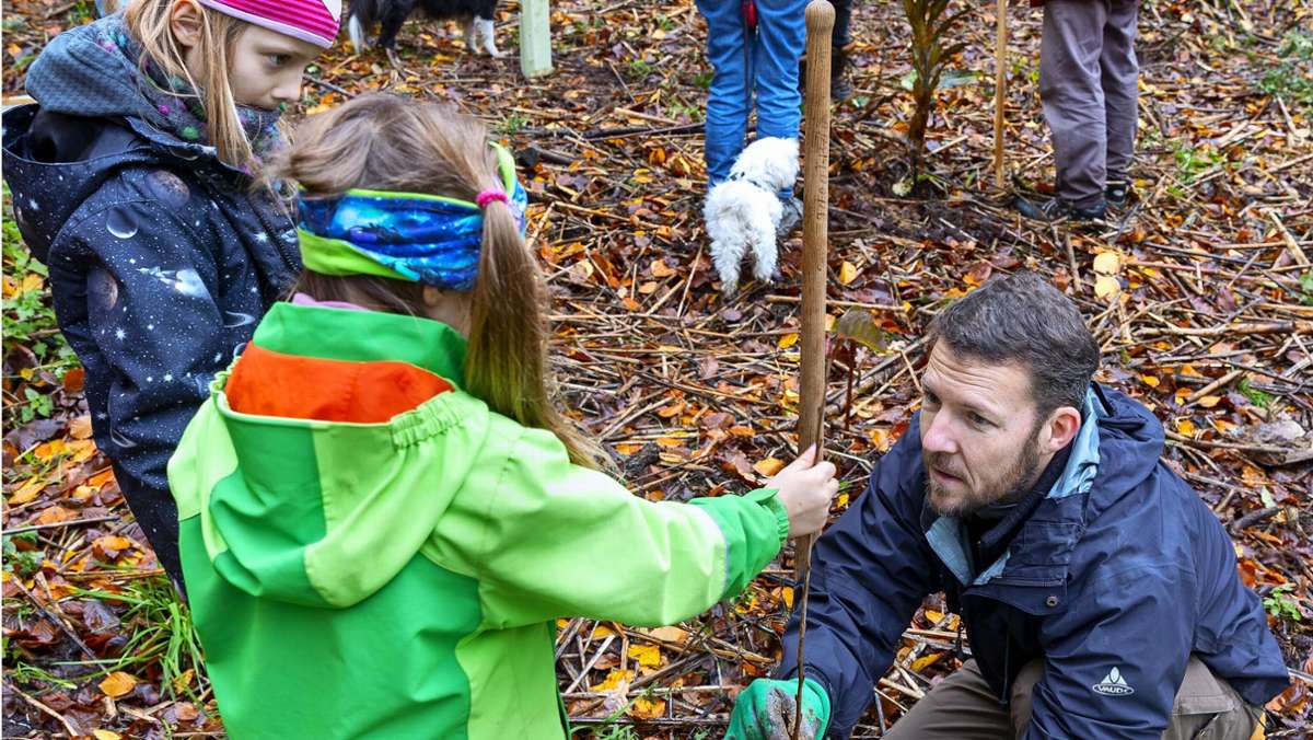 Aktion in Waiblingen: Neue Bäume für den Stadtwald