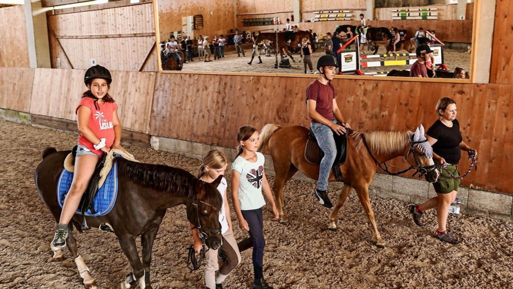 Förderschule Weil der Stadt: Auf Pferden die eigenen Stärken kennenlernen