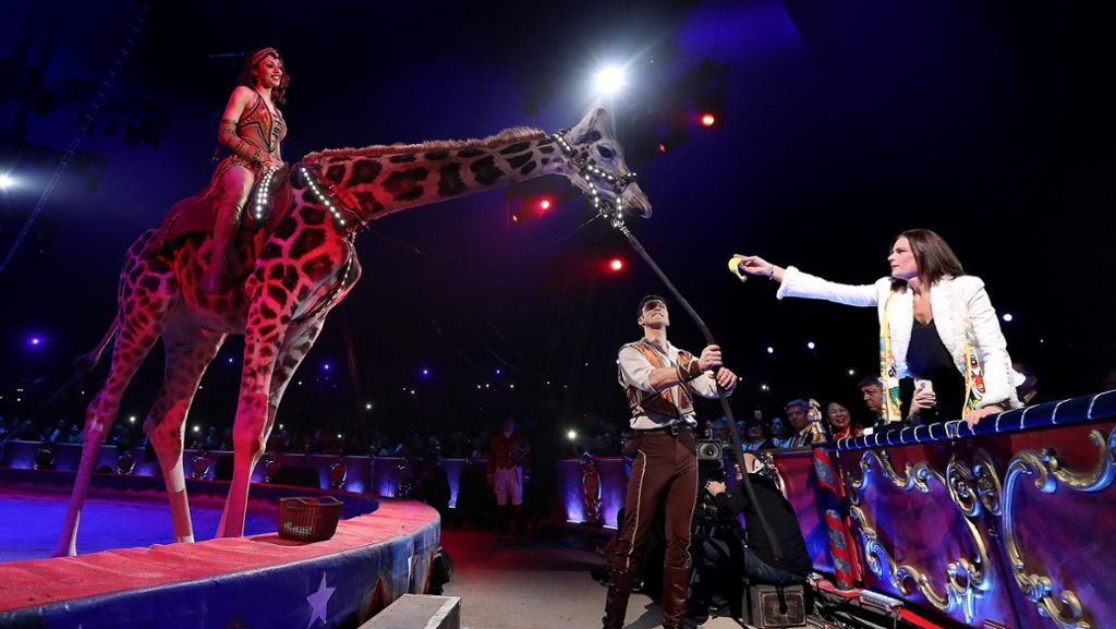 Zirkusfestival von Monte Carlo: Prinzessin Stephanie und die Giraffe