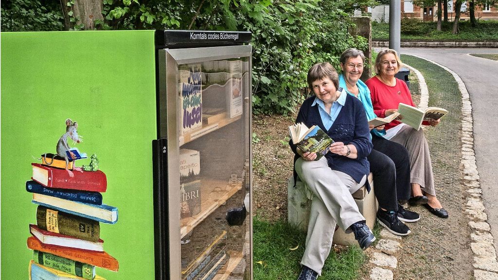 Offenes Bücherregal in Korntal-Münchingen: Die Lektüre zum Schmökern steht im Kühlschrank