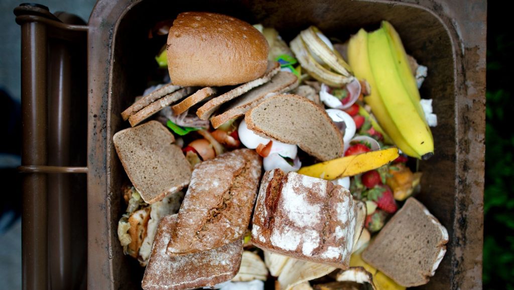 Klöckner kämpft gegen Lebensmittelverschwendung: Schlau verpackt?