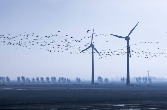 Grünen-Minister einigen sich auf schnelleren Windkraft-Ausbau