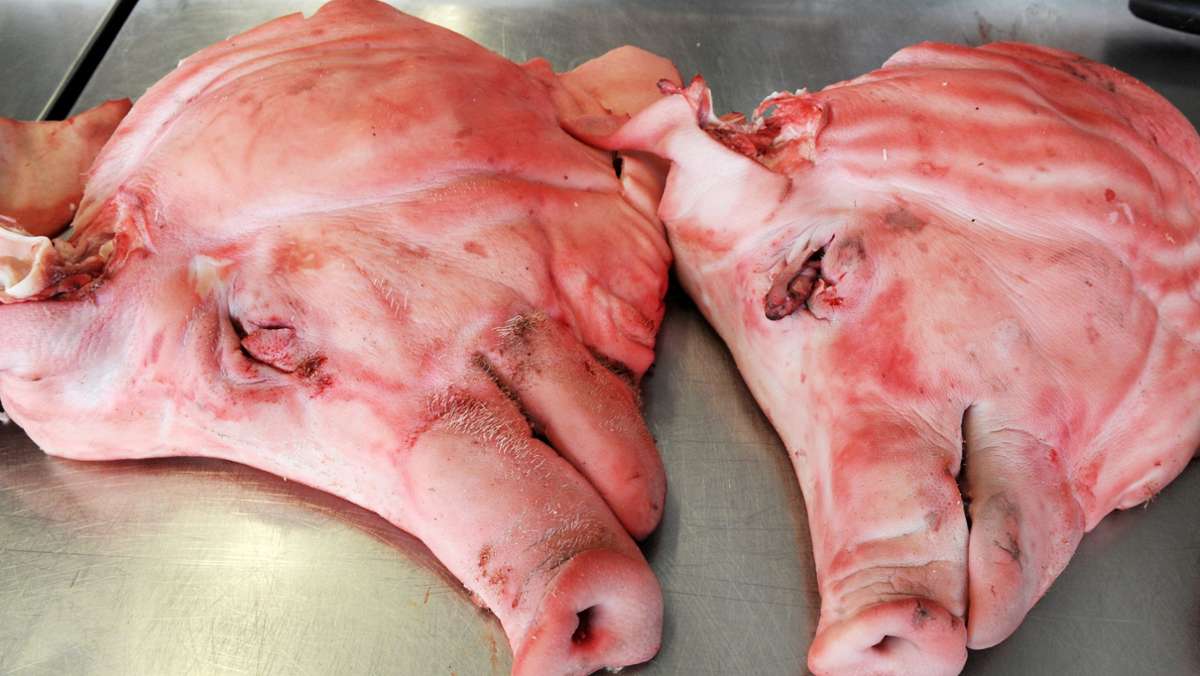 Vorfall in Baden-Württemberg: Unbekannte schrauben Schweinekopf an Haustür