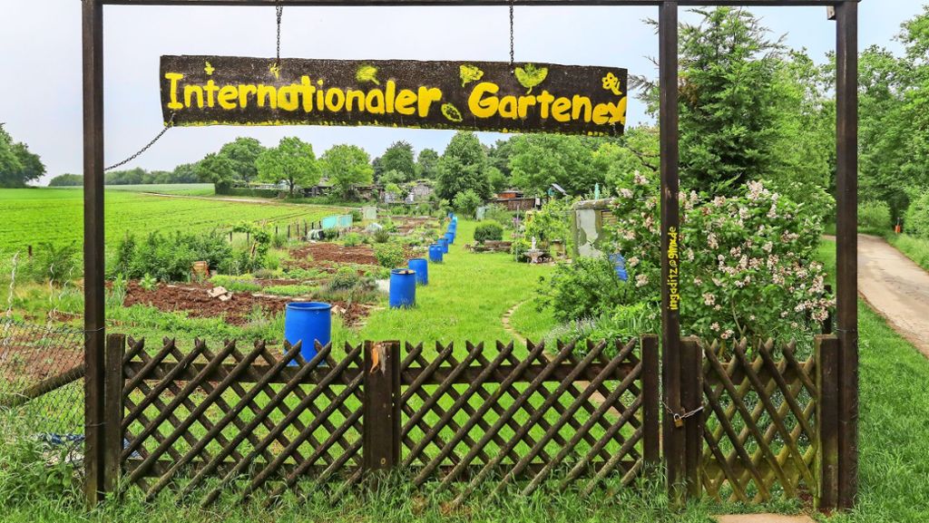 Internationaler Garten in Ditzingen: Ein Refugium, das Menschen beheimatet