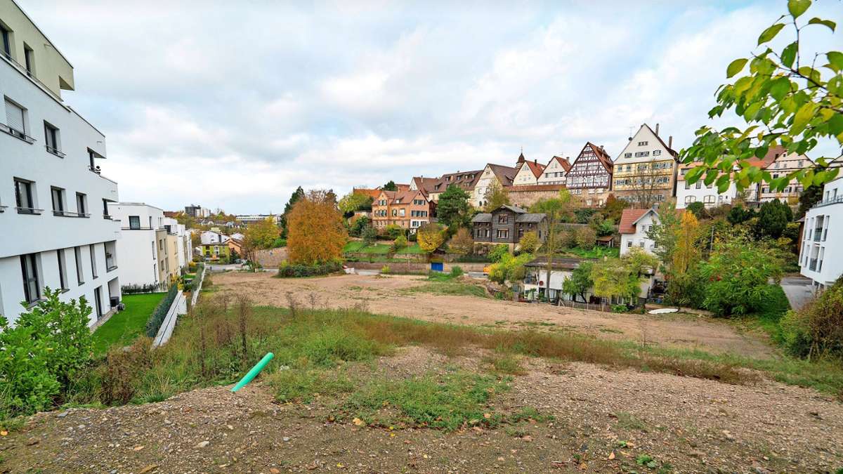 Stadtentwicklung in Leonberg: Millionen für Leonberger Bauprojekte