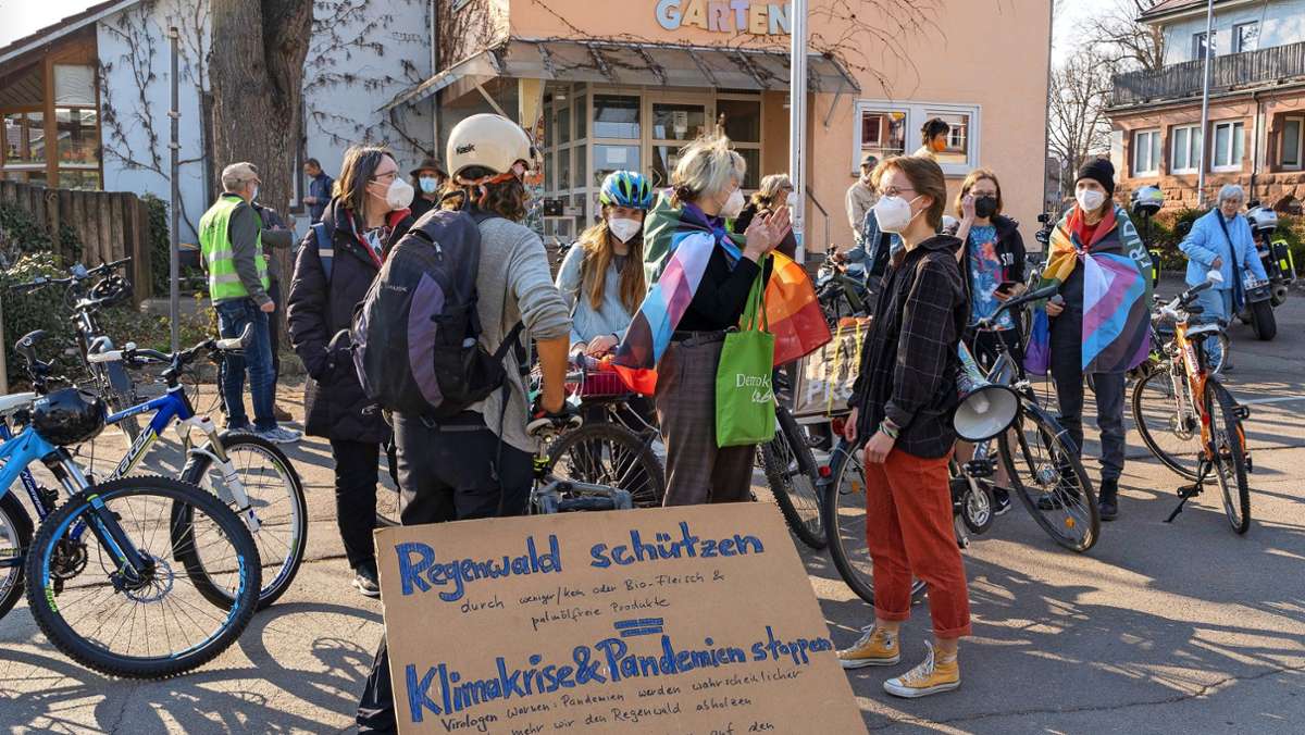 Fridays for Future Weil der Stadt: Aktivismus zwischen Krieg und Klimakrise