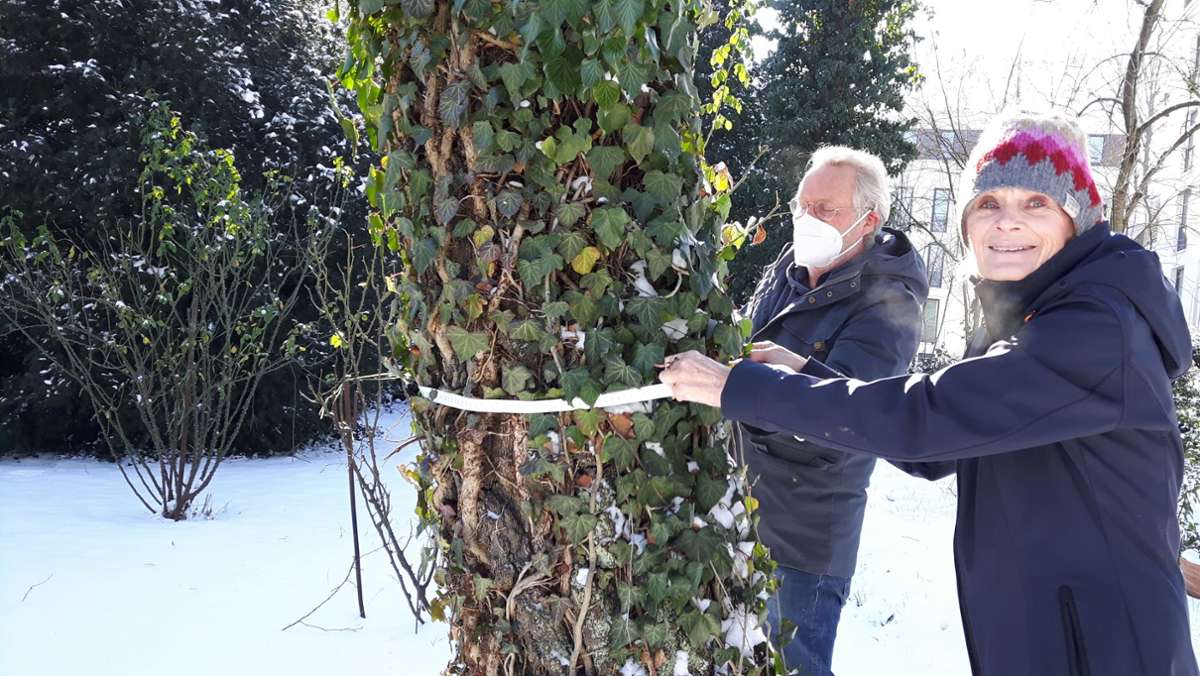 Baugrundstück in Stuttgart-Feuerbach: Anwohner wollen  Bäume vor der Kettensäge retten