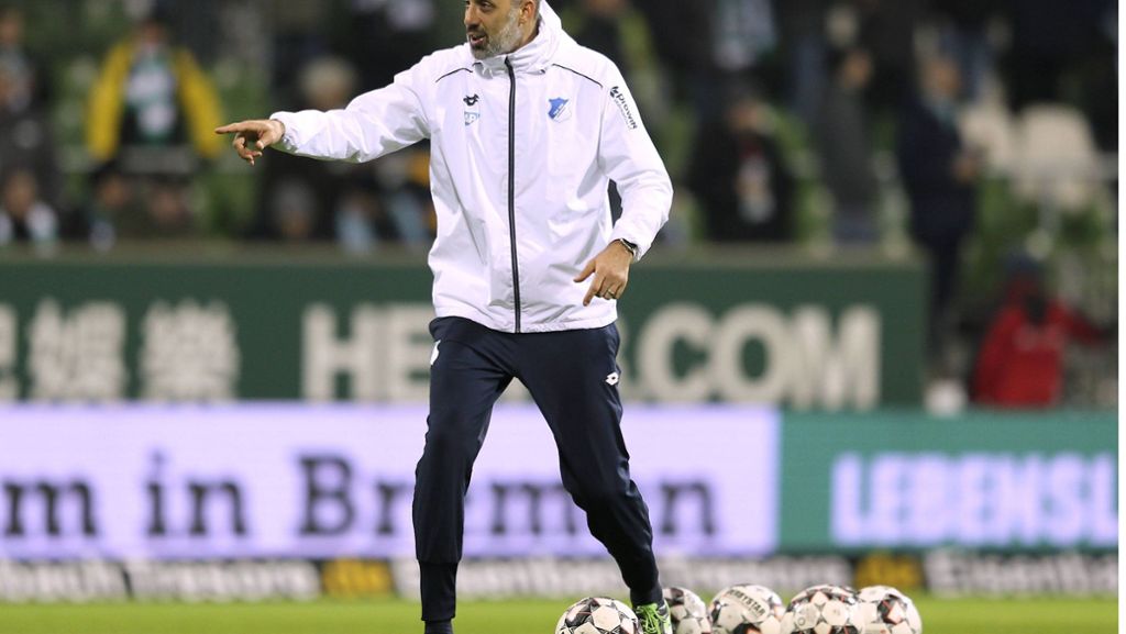 Neuer Trainer des VfB Stuttgart: Was Pellegrino Matarazzo alles erwartet