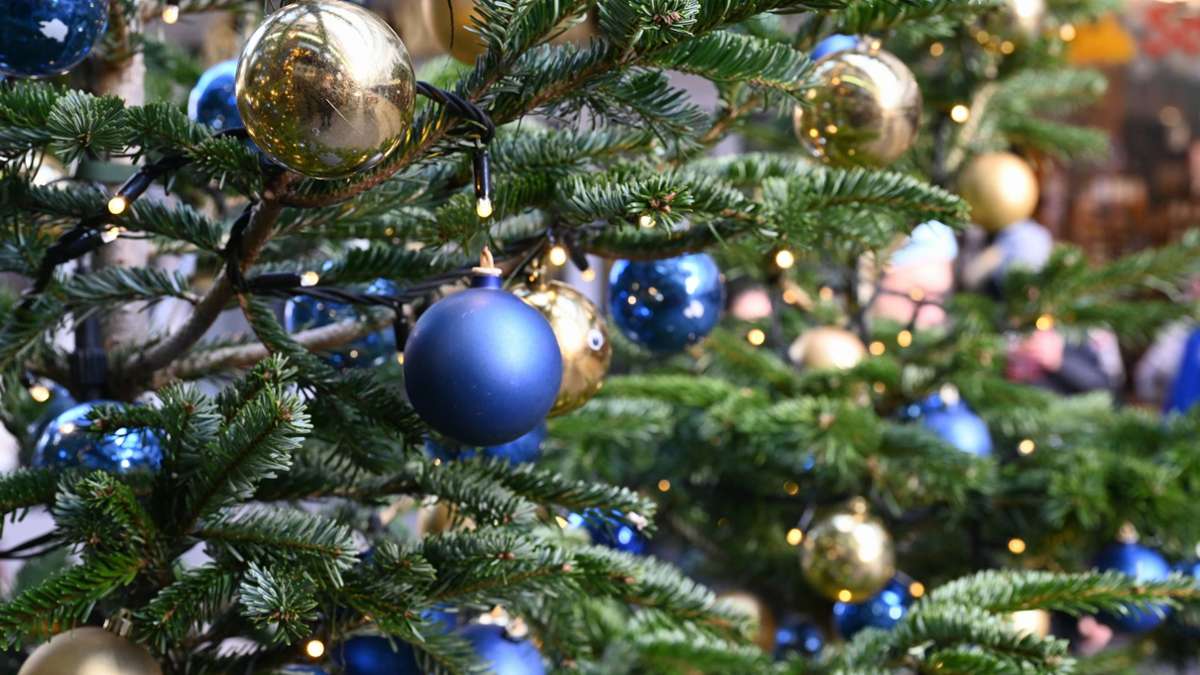 Allgäu: Weihnachtsbaum fliegt bei Autofahrt davon