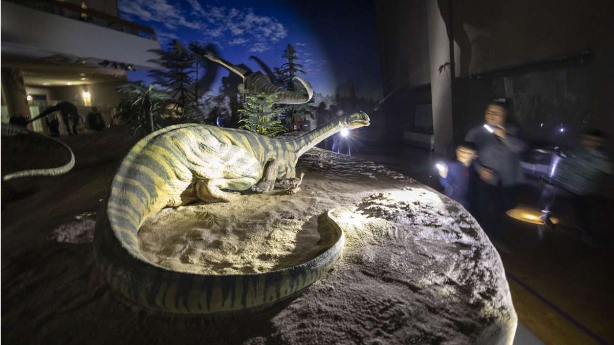 Museum am Löwentor in Stuttgart: Mit Taschenlampen durch die Ausstellung „Nachts bei den Sauriern“