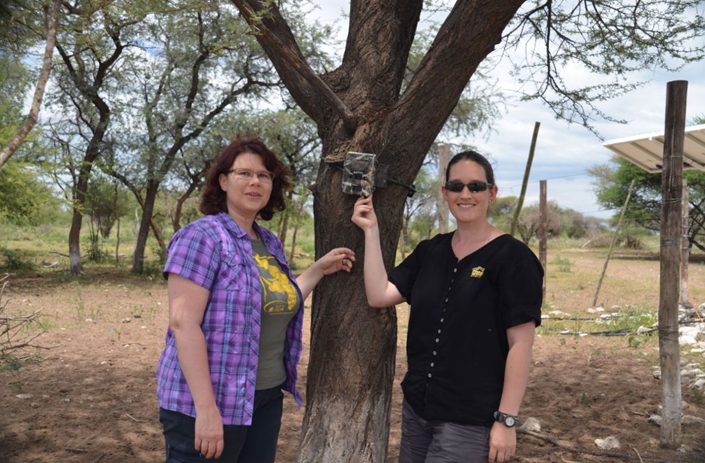 Die Kameras wurden häufig an Bäumen angebracht. Links steht Birgit Braun von der Aktionsgemeinschaft Artenschutz, rechts ist Louisa Richmond-Coggan vom Cheetah Conservation Fund. Foto: Aktionsgemeinschaft Artenschutz