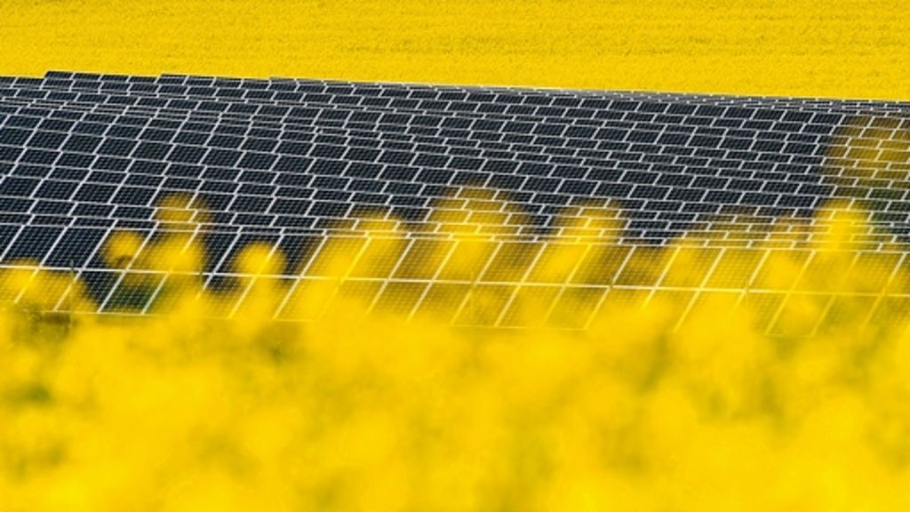 Strom durch Sonne: Solaranlagen liefern gerade Rekordwerte