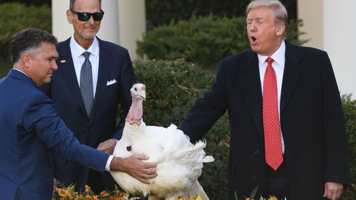 Präsident überrascht Truppen an Thanksgiving