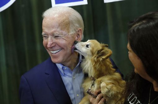 Diese Hunde ziehen mit Joe Biden ins Weiße Haus ein