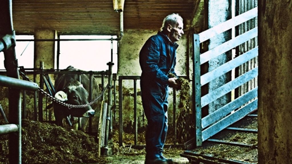 Gottfried Gronmayer, der Viehtransporteur: So ist das Leben