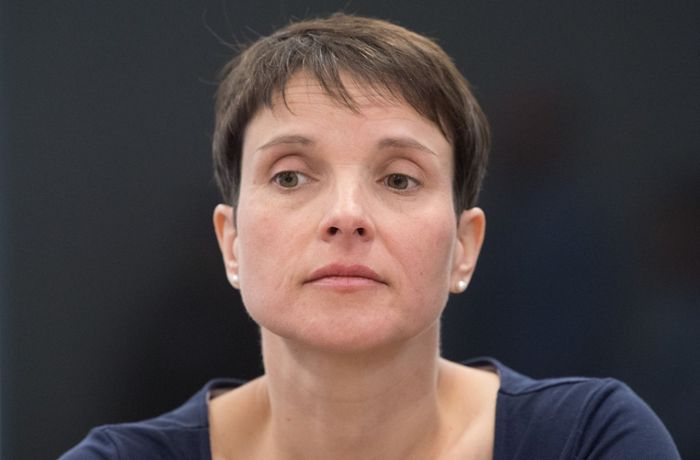 Frauke Petry wegen Subventionsbetrugs verurteilt