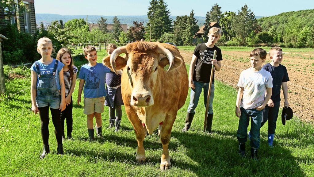 Erlebnis Bauernhof in Korntal-Münchingen: Von Acker und Stall bis auf den Teller