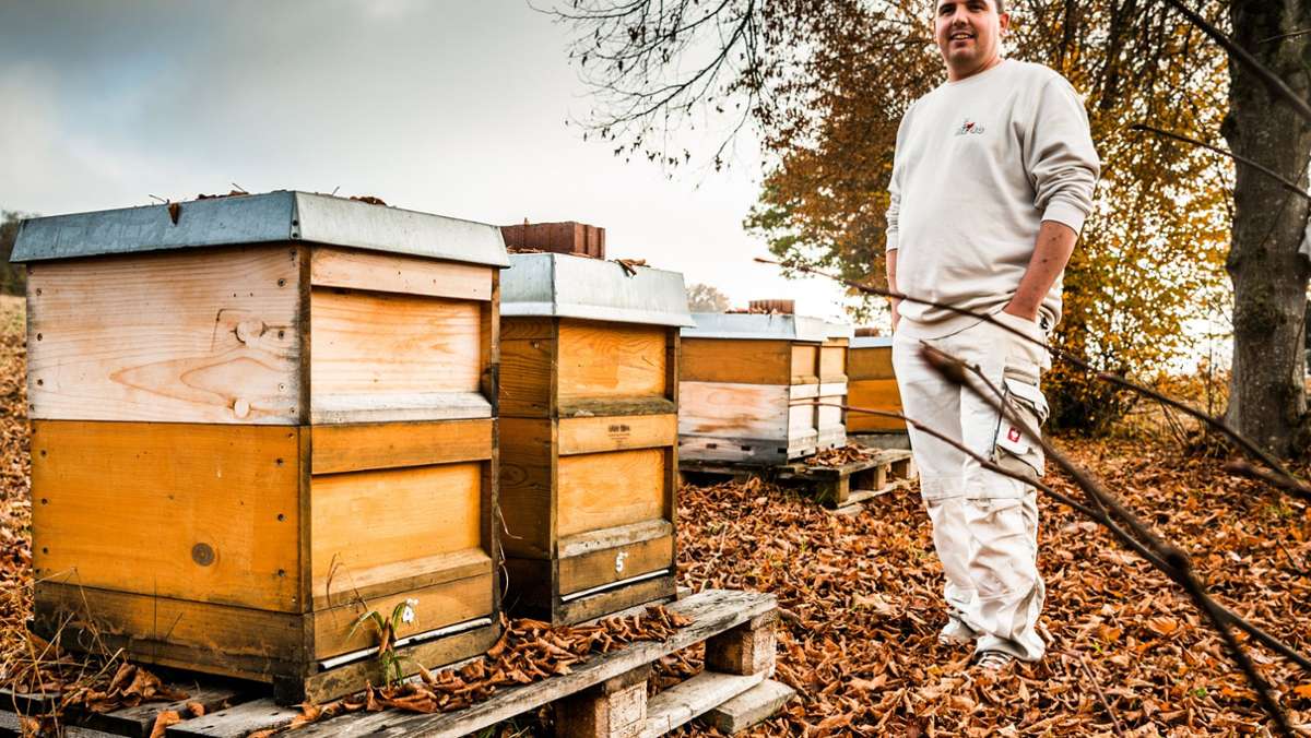  Alle wollen die Bienen retten. Aber nicht alle können es. Deshalb bietet Oliver Hauck seine zur Miete an. 