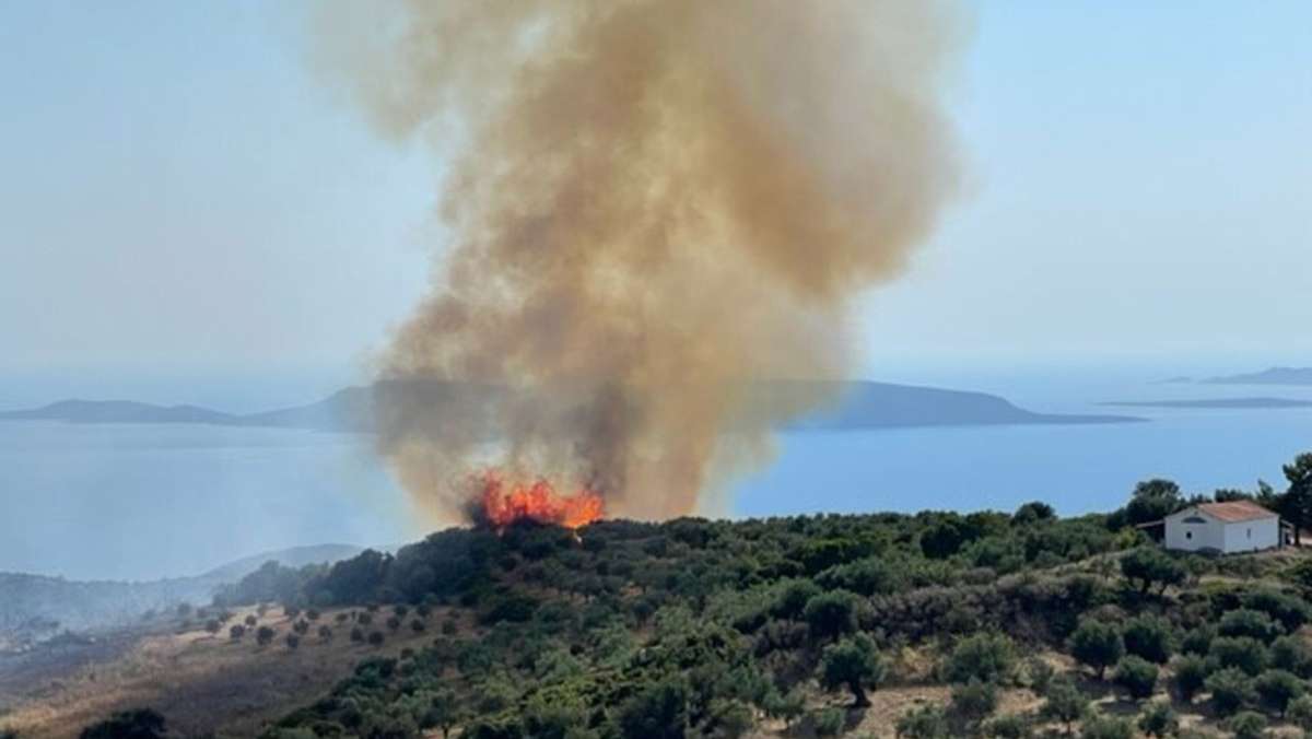 Besuch in Griechenland: So könnte sich die Feuerwehr für Waldbrände wappnen