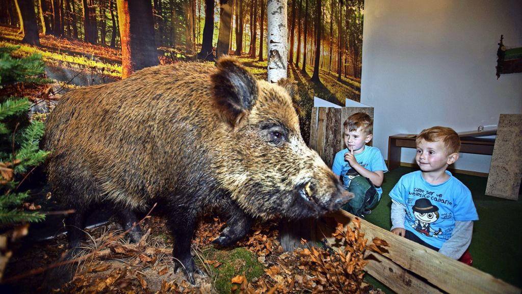Naturkundemuseum Göppingen präsentiert:: Wildtiere erobern die Stadt