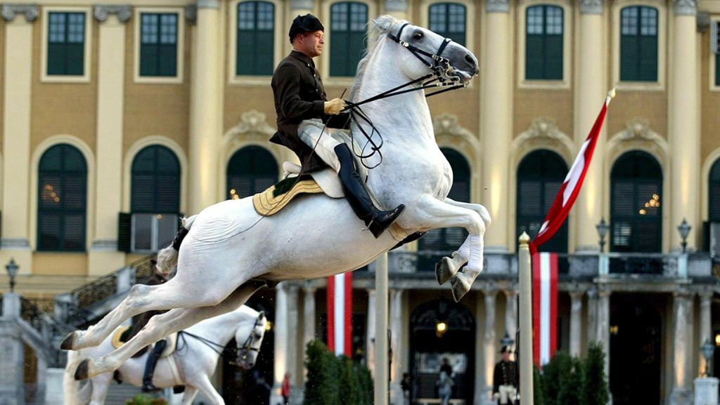  Lange stritt Österreich mit Slowenien über die Herkunft der Lipizzaner. Jetzt macht man gemeinsame Weltkulturerbe-Sache. Warum sind die Pferde für Österreicher so wichtig? 
