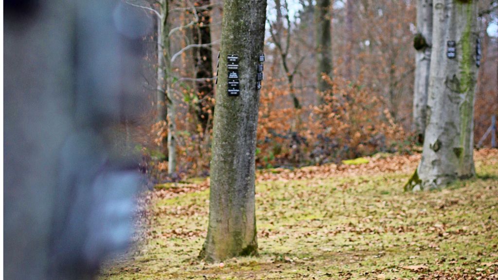 Bestattungen in Gerlingen: Begehrte  letzte Ruhe unterm Baum