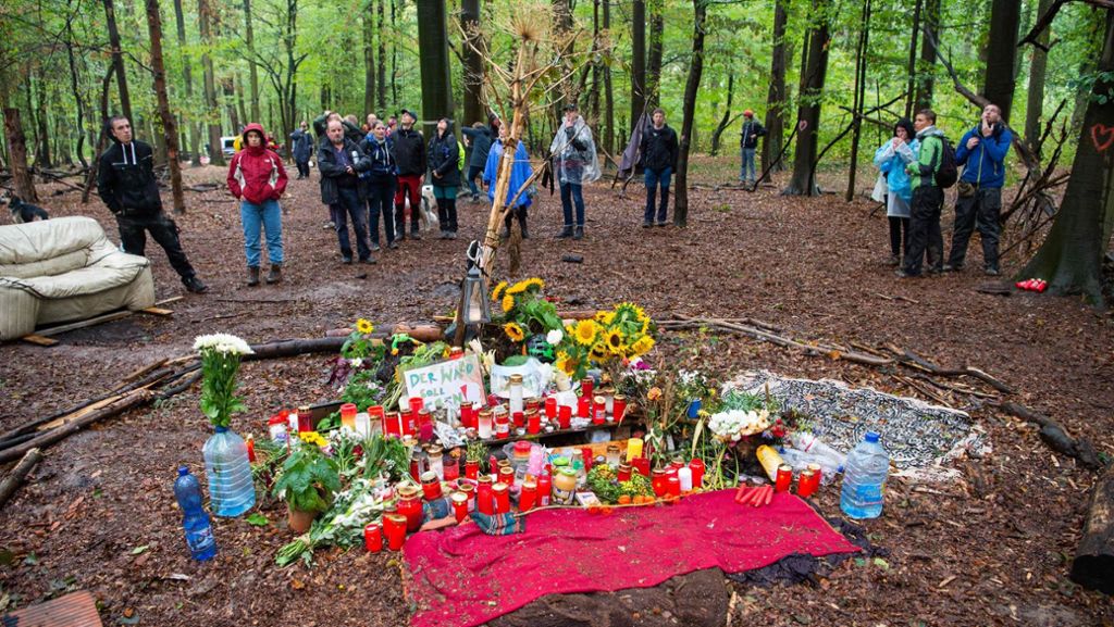 Hambacher Forst: Baumhäuser werden nach Unterbrechung weiter geräumt