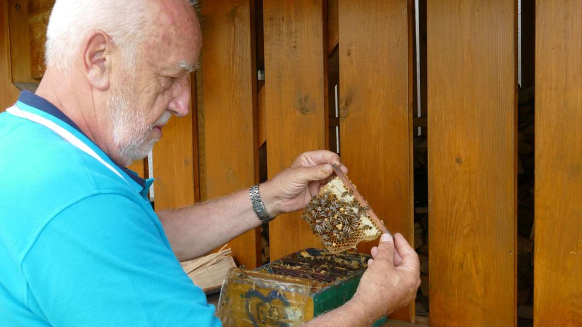  Helmut Horn aus Stuttgart-Plieningen imkert, seit er fünf Jahre alt ist. Inzwischen ist der Wissenschaftler im Ruhestand, doch von den Bienen kann er nicht lassen. 