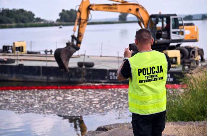 Umweltkatastrophe in der Oder: Polens Feuerwehr holt hundert Tonnen tote Fische aus dem Fluss