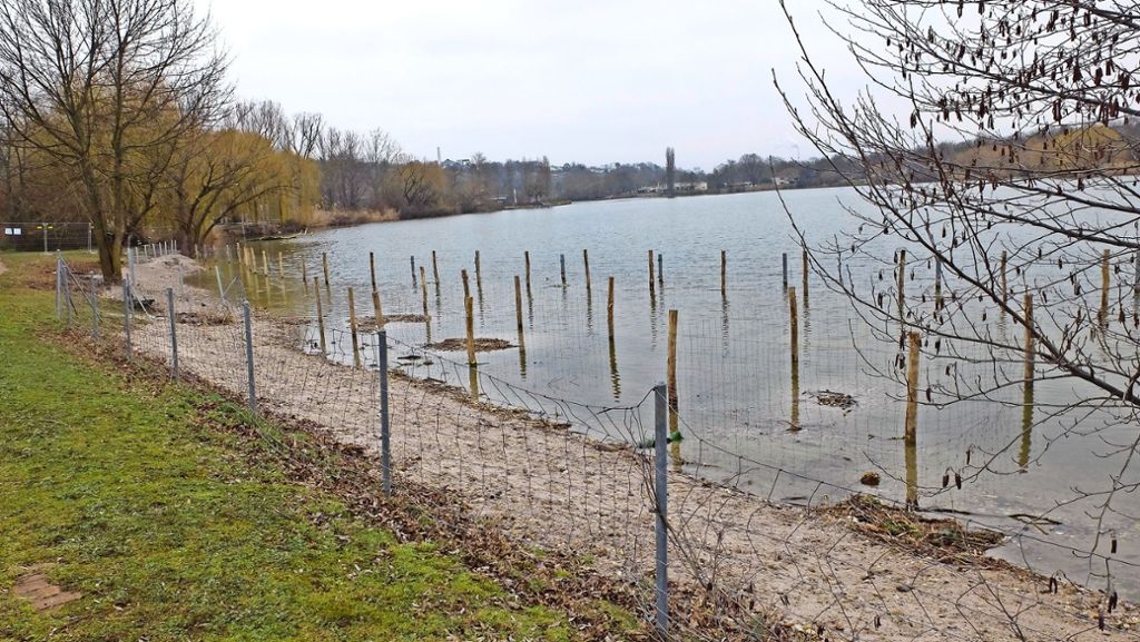 Wasserqualität in Stuttgart-Mühlhausen: Der Max-Eyth-See erhält ein neues Ufer