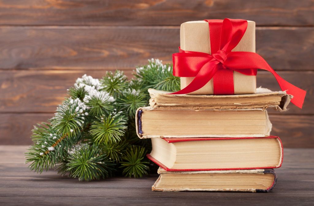 Schöne Bescherung: Wir empfehlen unsere Lieblingsbücher zum Verschenken an Weihnachten. Foto: 1Evgeny Karandaev/Adobe Stock