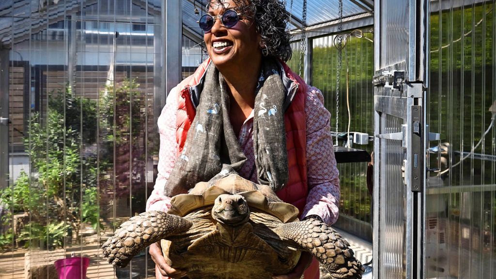 Die Schildkröten-Auffangstation: Kuscheln verboten