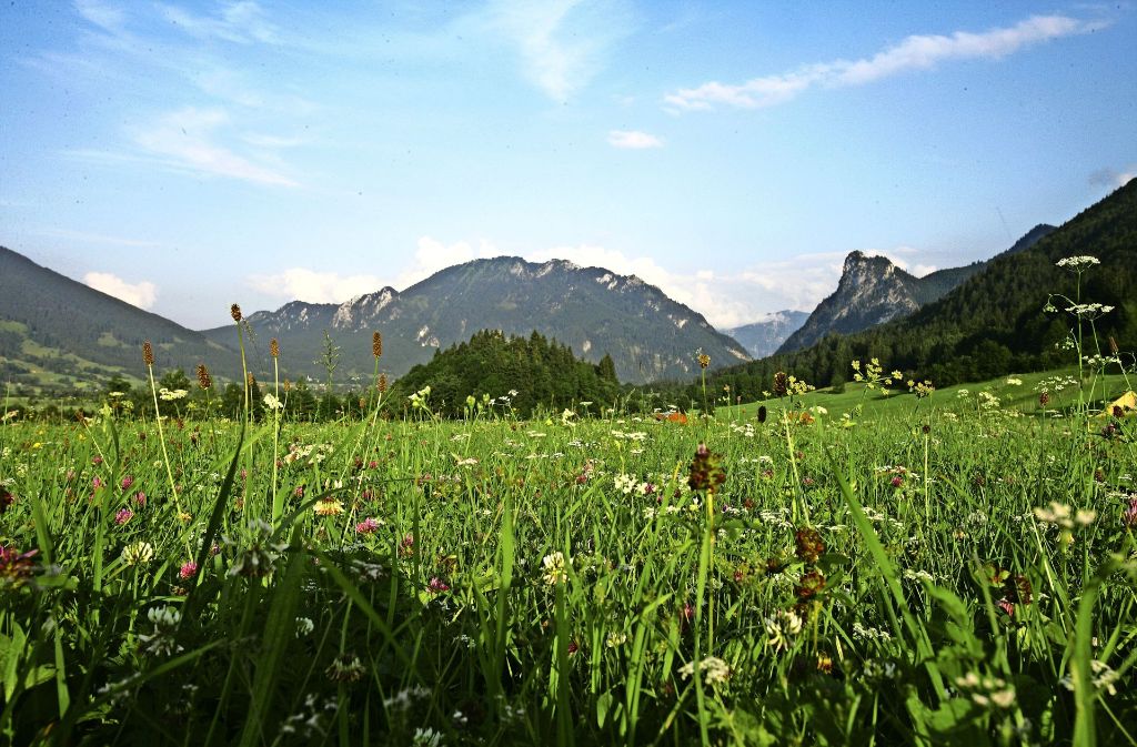 Eine Landschaft zum Abschalten und Entspannen in den Ammergauer Alpen.
