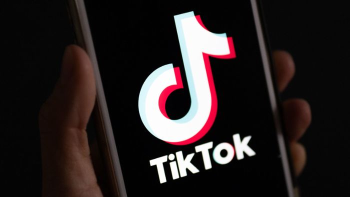 Politiker in sozialen Netzwerken: Warum die AfD auf Tiktok ein Monopol hat