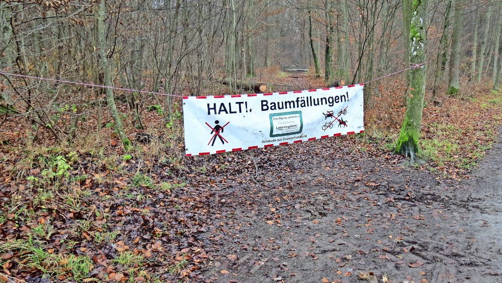 Stuttgart-Möhringen/-Plieningen: Waldarbeiter fällen 400 Bäume