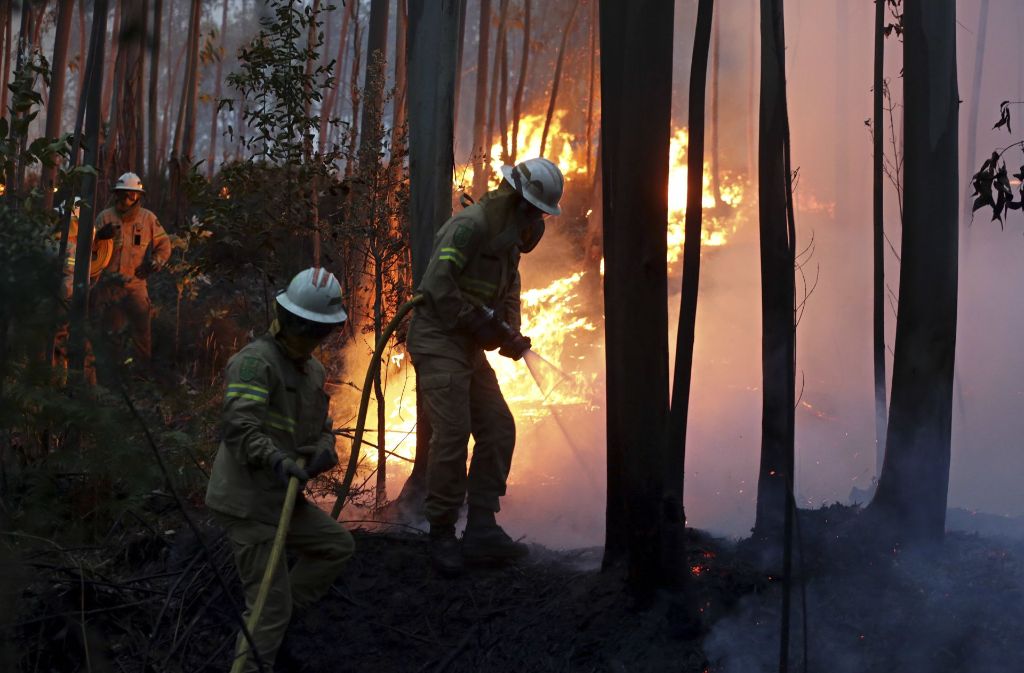Verzweifelt kämpfen Feuerwehrmänner gegen die Flammen. Foto: AP