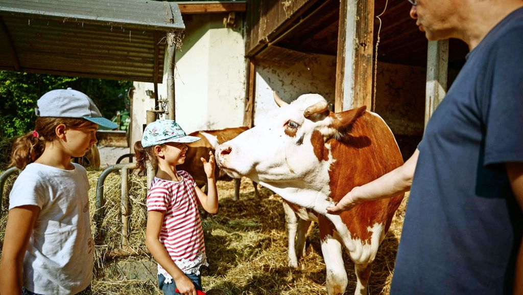 Bauernhofpädagogik auf dem  Engelberg: Ausmisten kann das Leben prägen