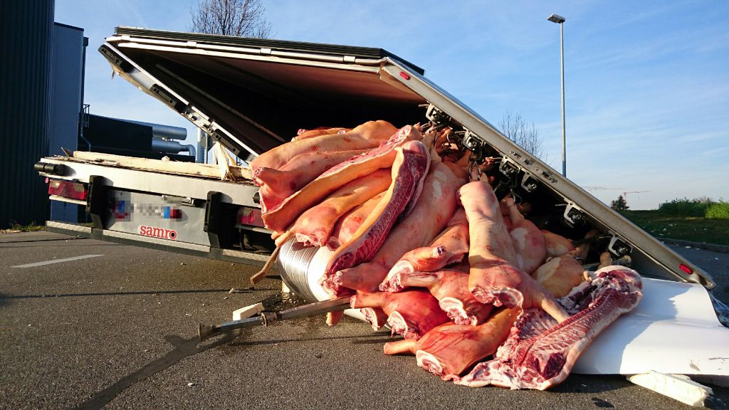 Hemmingen im Kreis Ludwigsburg: LKW verliert mehrere Tonnen Schweinefleisch