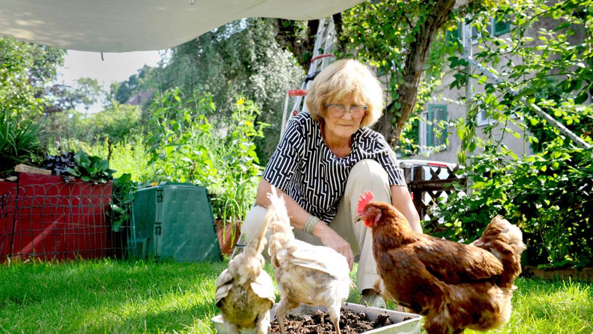  Im Lockdown hat sich Bettina Schmidt nach Gesellschaft gesehnt – und sich vier Hühner angeschafft. Sie wohnt mitten in Stuttgart, aber ihre Legehennen sind bestens integriert. Geradezu explosionsartig ist die Zahl der Geflügelhalter in der Stadt gestiegen. 
