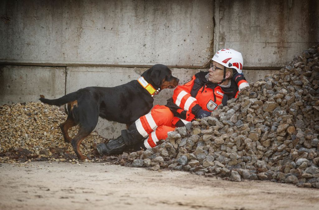 Damit die Rettungshunde ihre Fähigkeiten voll nutzen können, ist viel Training erforderlich.